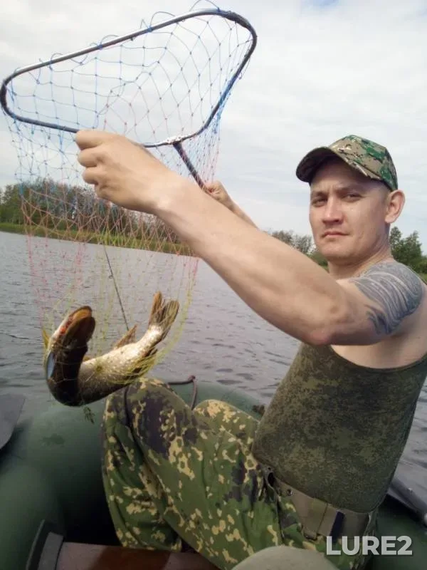 Pike — Kemerovskaya oblast, Jul 04, 2019