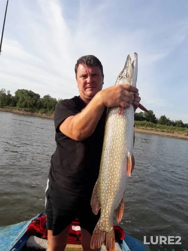 Pike — Ob, Jul 16, 2019