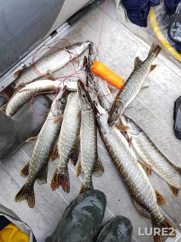 Pike — Tom, Jul 19, 2019