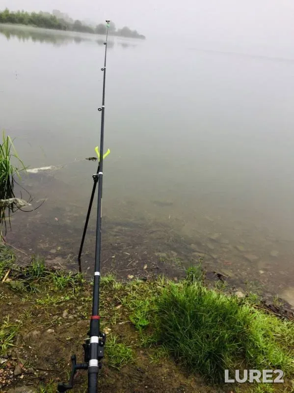 Crucian carp — Severnaya Unga, Jul 20, 2019