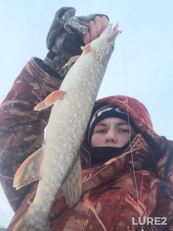 Pike — Respublika Tatarstan, Jan 01, 2018