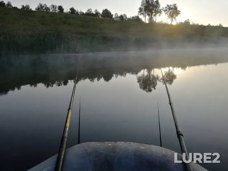 Crucian carp — Meret, Aug 01, 2019