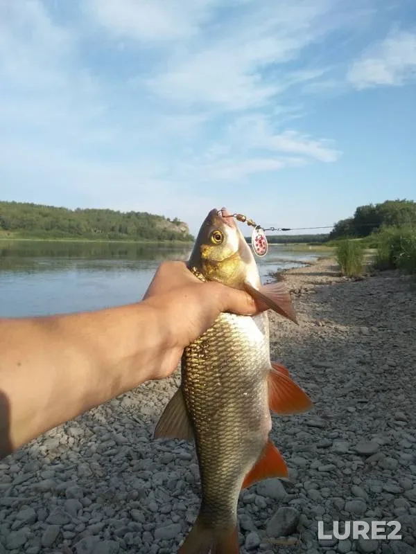 Ide, Pike — Strelina, Aug 09, 2019