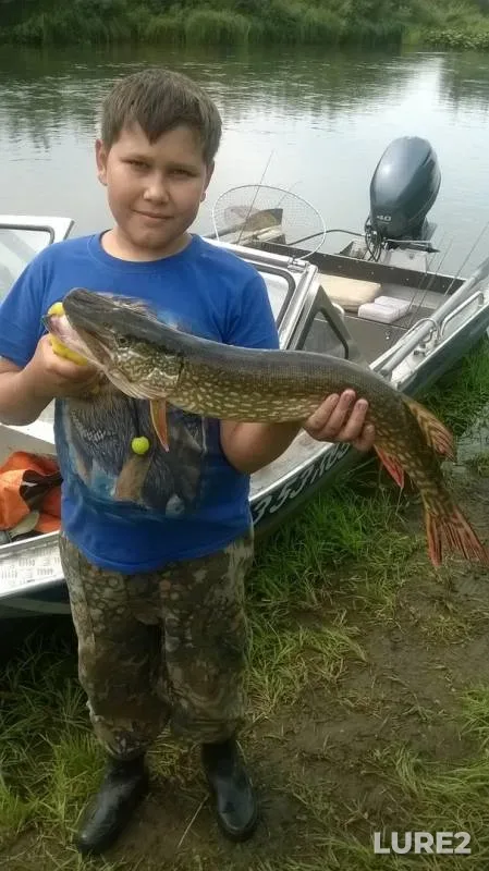 Perch, Pike — Tom, Aug 23, 2019
