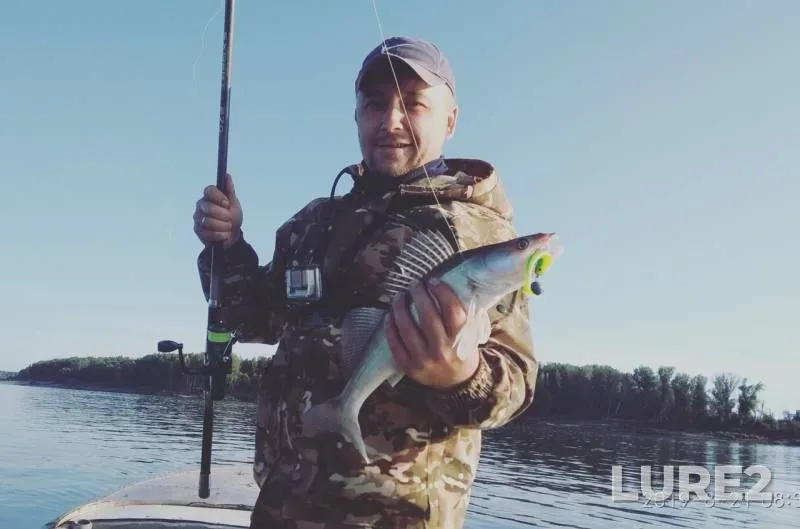 Bream, Zander — Ob, Aug 25, 2019