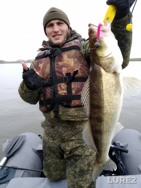 Perch, Zander — Ob, Sep 20, 2019