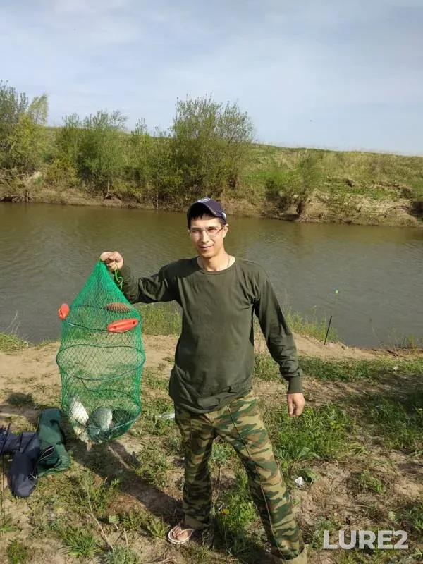 Crucian carp — Shemelka, May 19, 2018