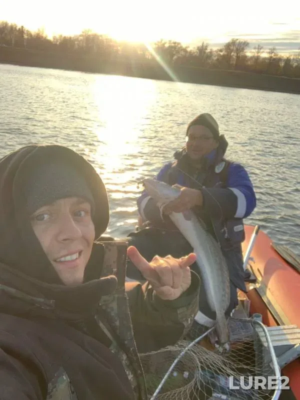 Pike, Zander — Ob, Oct 06, 2019