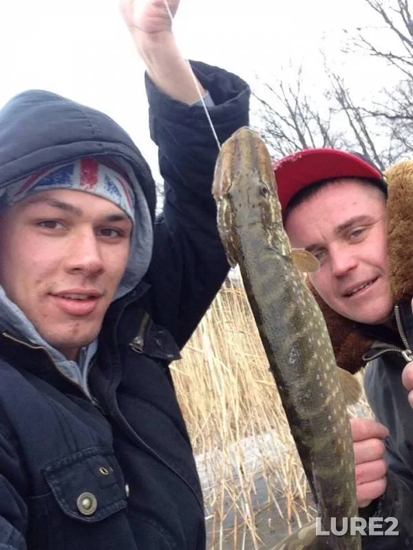 Pike — Pechenezhskoye, Dec 21, 2014