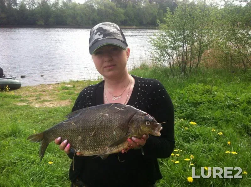Bream — Volkhov, May 22, 2016