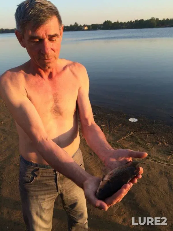 Crucian carp — Nizhneye Bolshoye Suzdalskoye, Jun 01, 2016