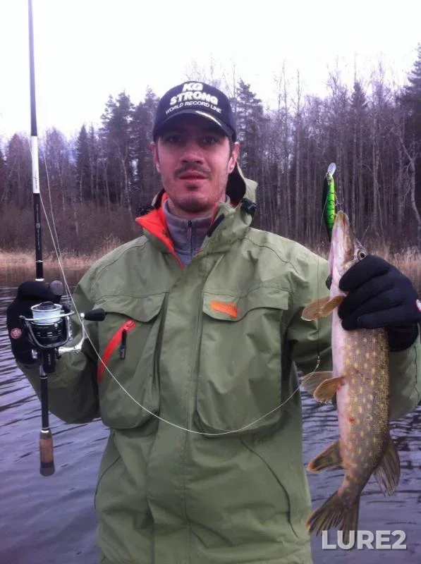 Perch, Pike — Veshchevskoye, May 06, 2017