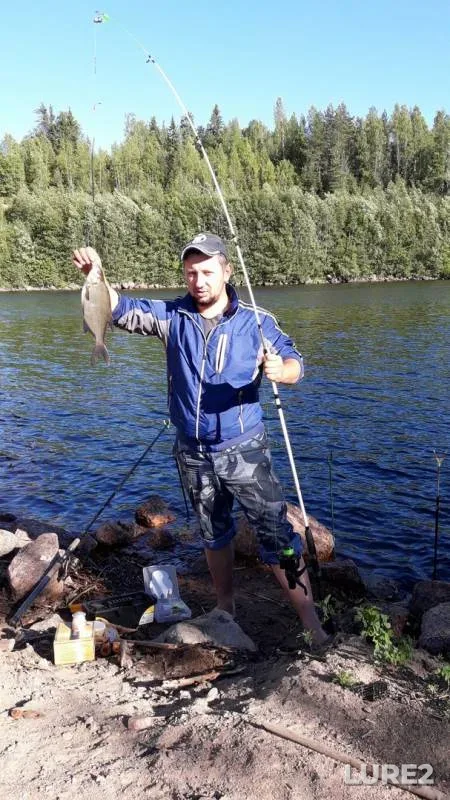 Bream — Saimaan kanava - Saimaa Canal - Saymenskiy kanal - Saima kanal, Jul 05, 2017