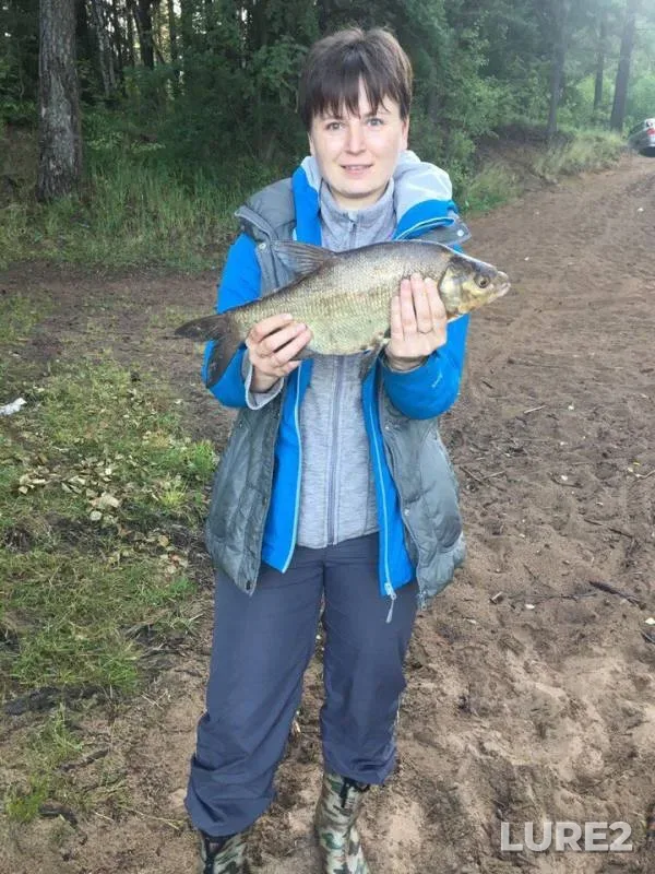 Bream — Lembolovskoye, Jul 13, 2017