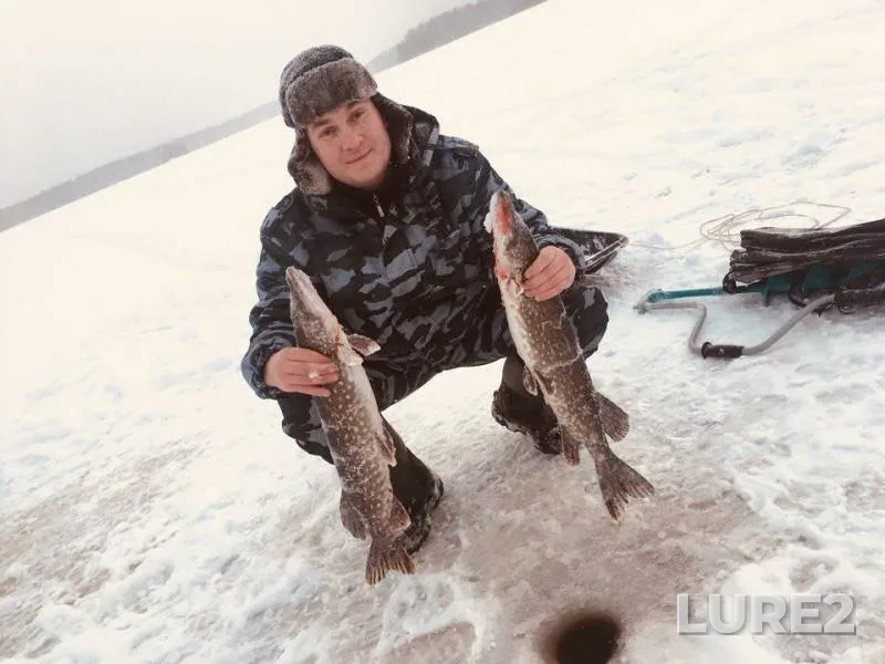 Pike — Lyubimovskoye, Jan 21, 2018