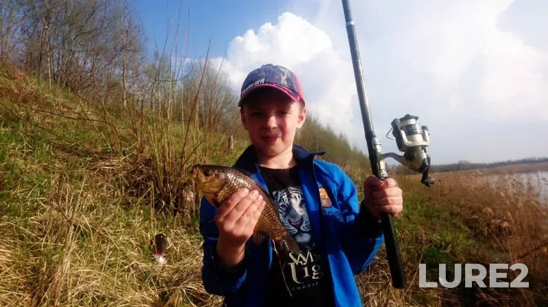 Crucian carp — Ilzna, May 02, 2018