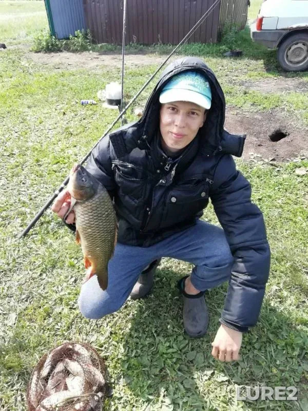 Carp — Samarskaya oblast, Jun 04, 2019
