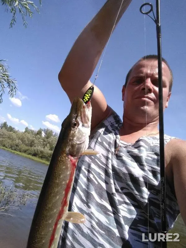 Pike — Sok, Jul 21, 2019