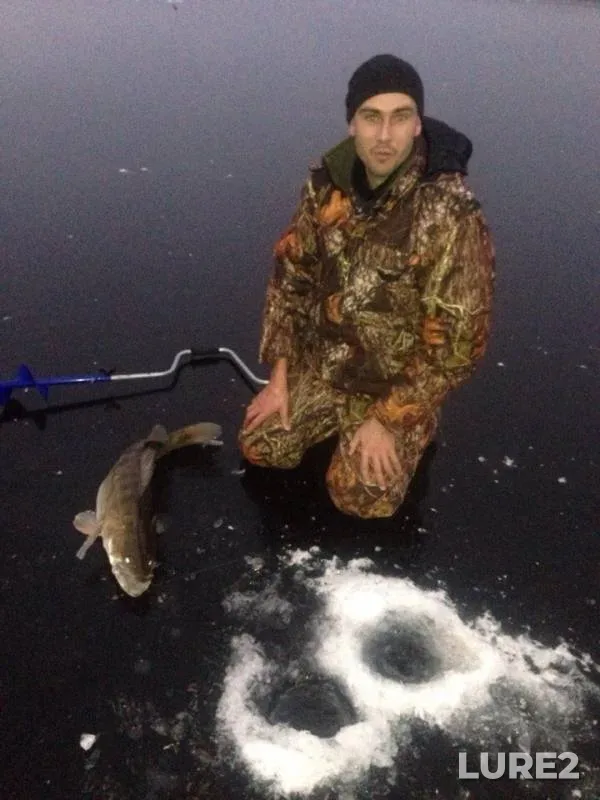 Zander — Mozhayskoye, Nov 27, 2014