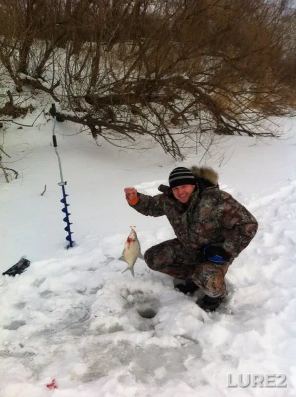 Bream, Pike — Inya, Dec 08, 2014