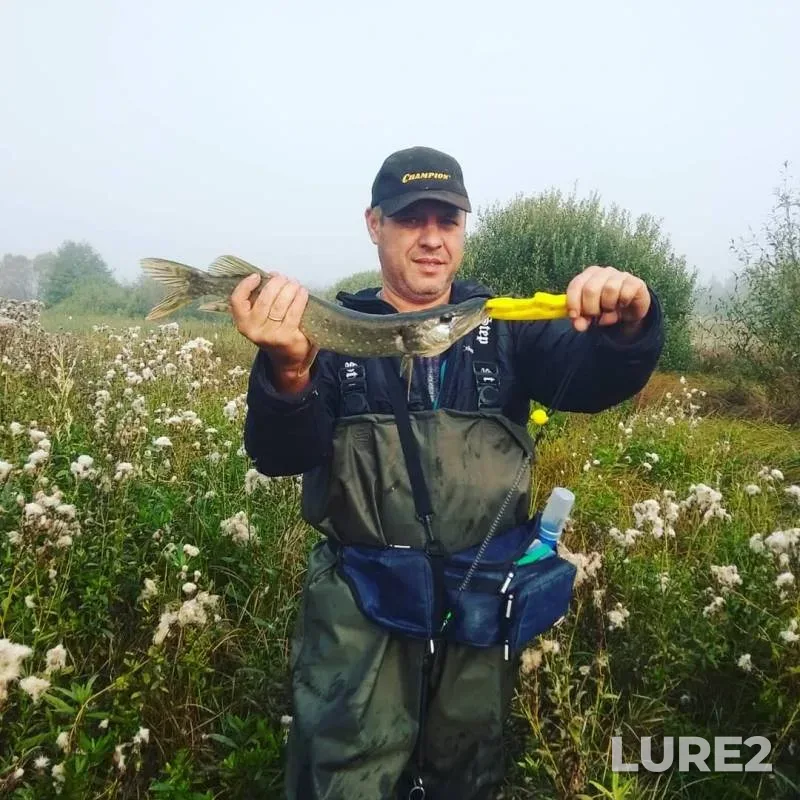 Pike — Para, Sep 08, 2019