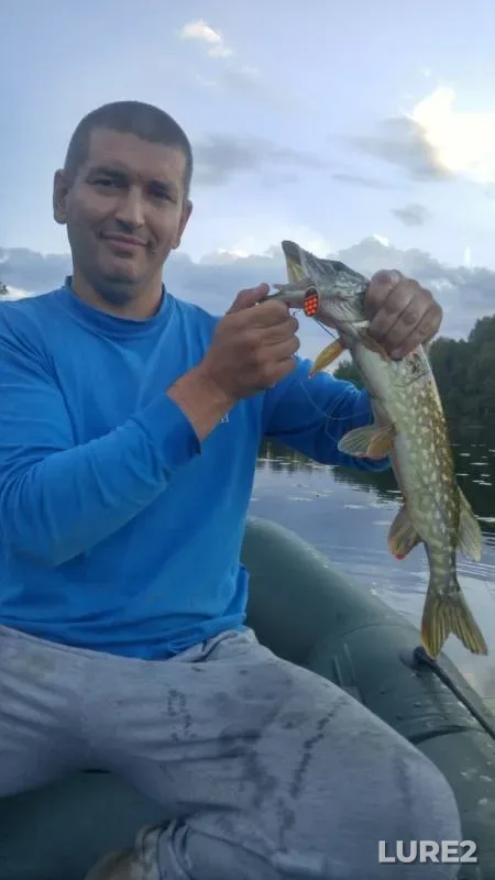 Pike — Tishkovskoye, Jul 16, 2018
