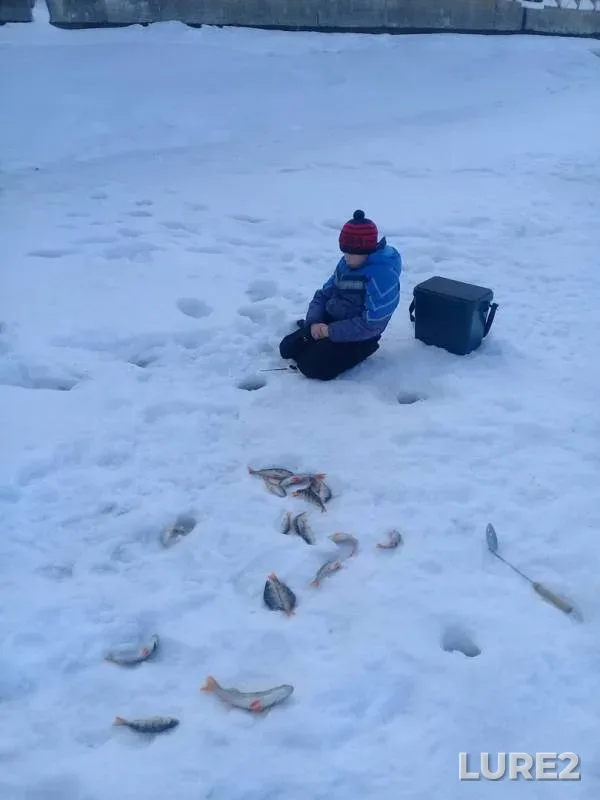 Perch — Irtysh, Mar 12, 2019
