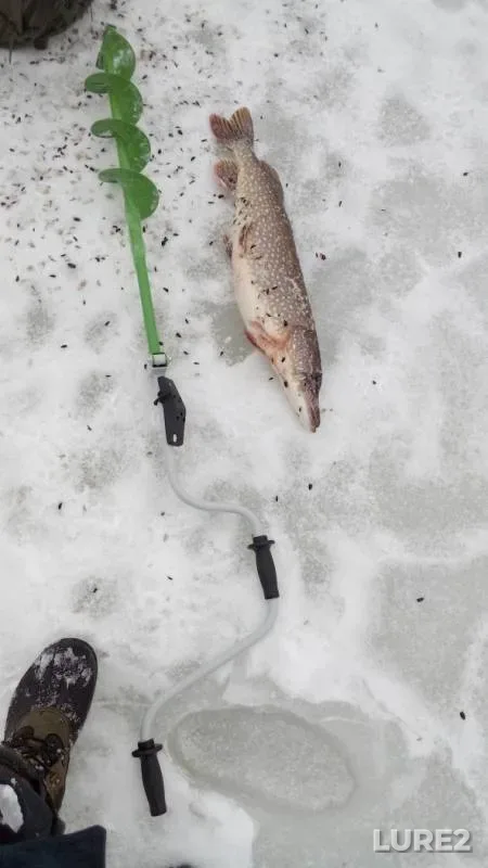 Pike — Istra, Feb 07, 2019