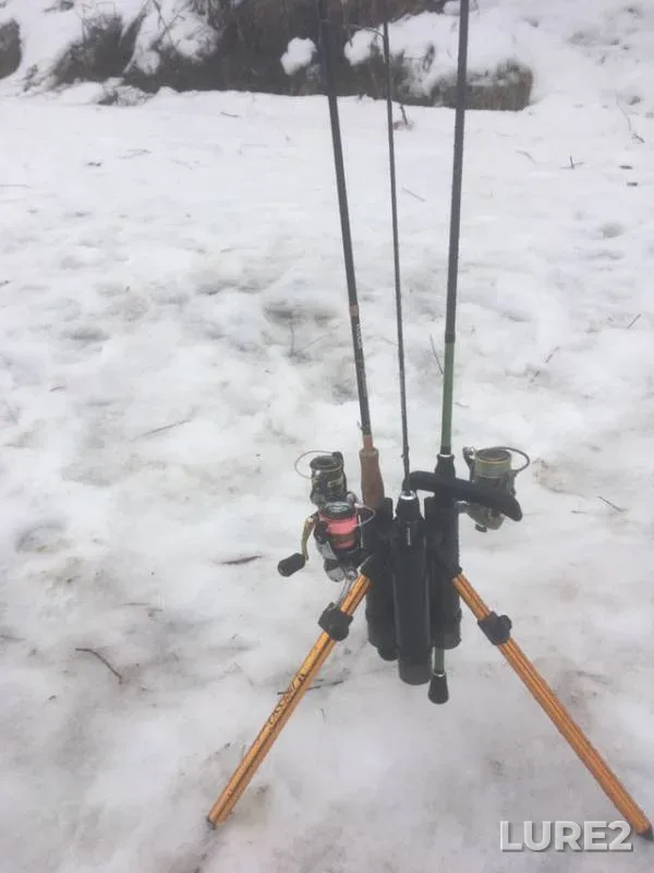 Perch, Pike — Moskva, Mar 10, 2019