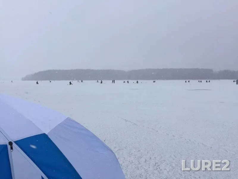 Perch, Roach — Uchinskoye, Mar 10, 2019