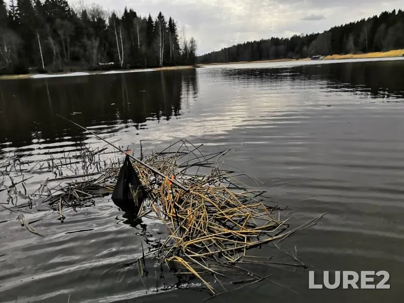 Pike, Roach — Katyshka, Apr 18, 2019