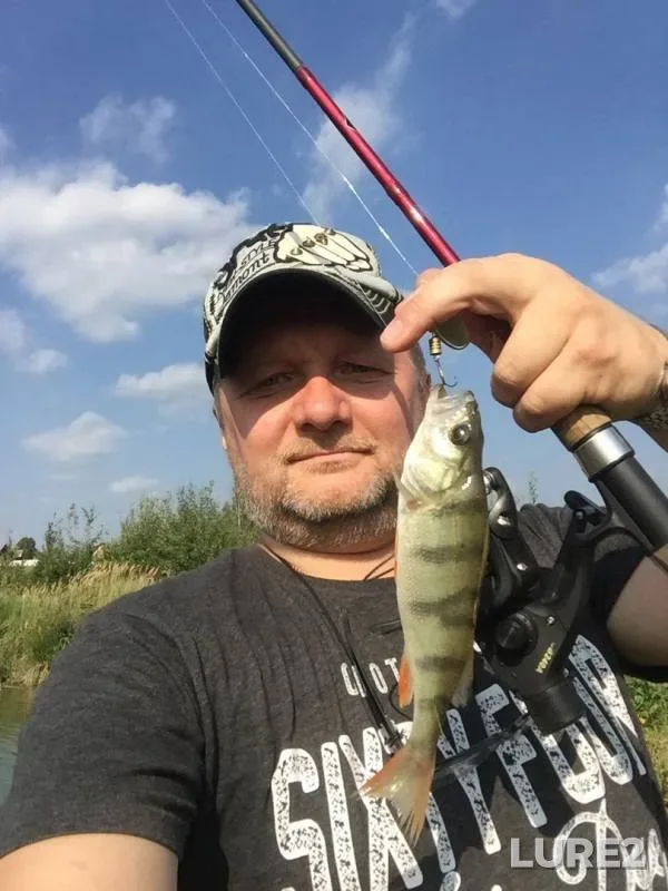 Perch — Kilenka, Aug 20, 2019