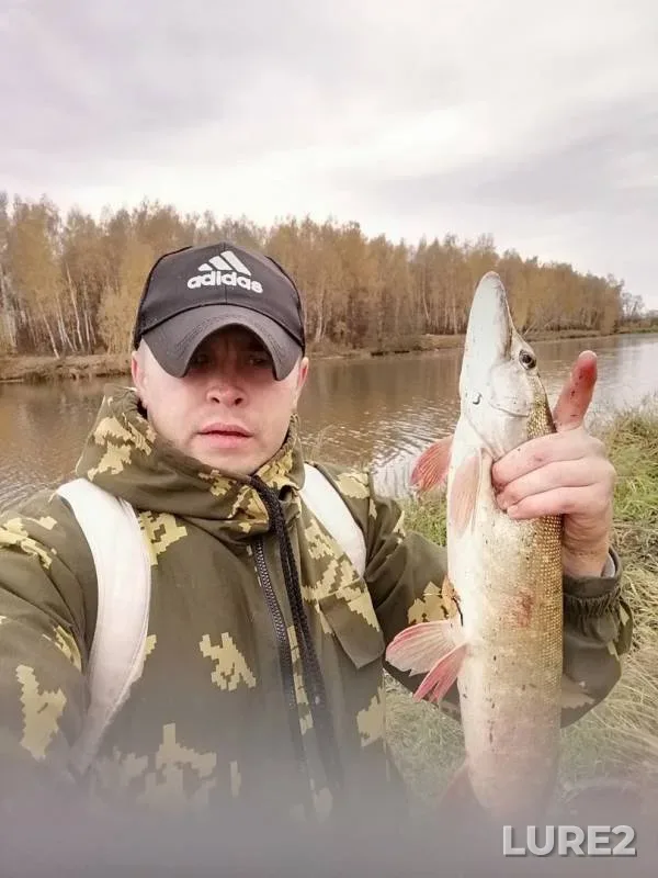 Pike — Zhdanka, Oct 28, 2019