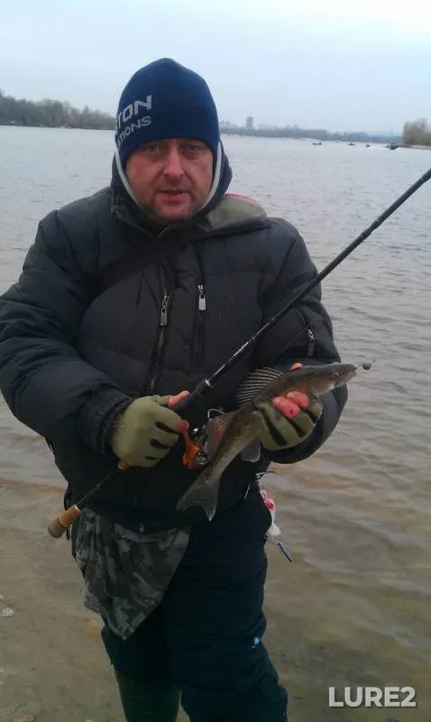 Perch — Verblyud zaliv, Nov 16, 2013