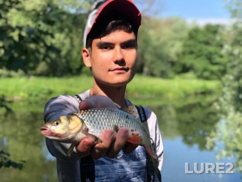 Chub, Perch — Lopasnya, Jun 27, 2019