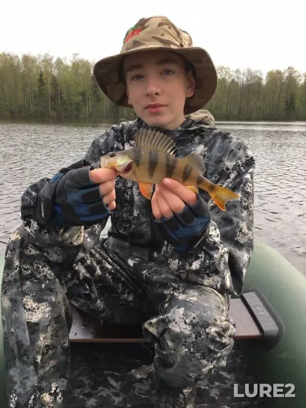 Perch — Sinyavinskoye, Jul 14, 2019