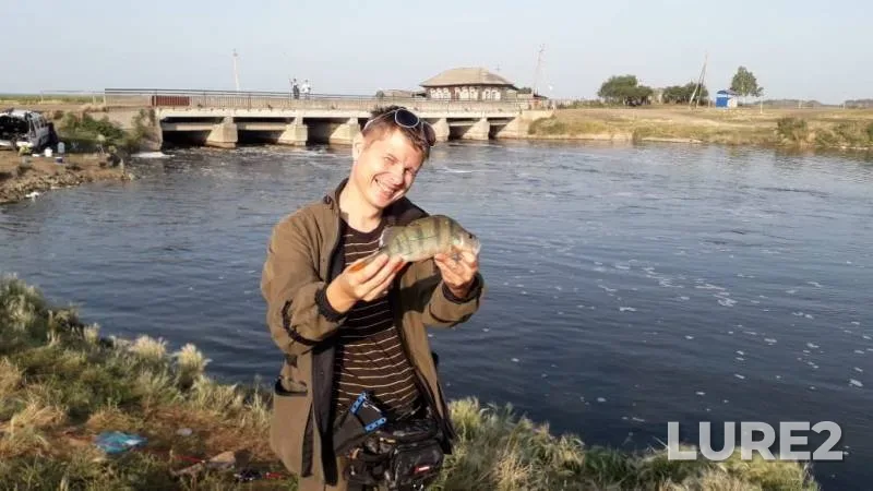 Crucian carp, Perch — Omskaya oblast, Krutinskiy rayon, Aug 18, 2019