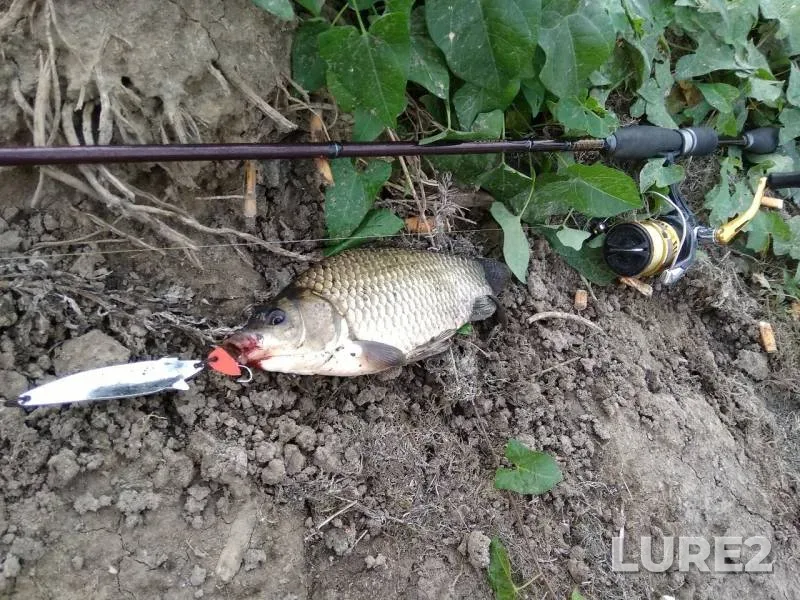 Crucian carp — Srednyaya Chelbaska, Sep 07, 2019