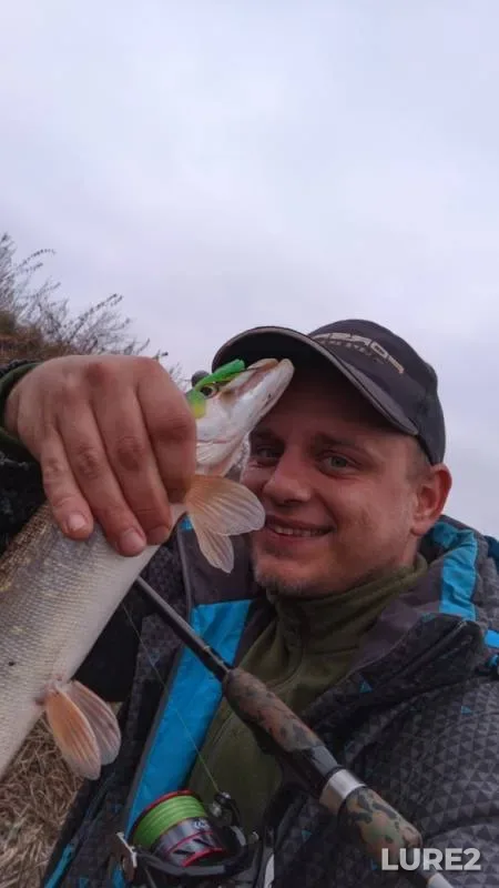 Pike — Upa, Nov 12, 2019