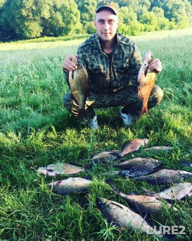 Bream — Desna, Jun 16, 2019
