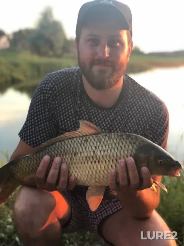 Carp — Snezhet, Jun 20, 2019