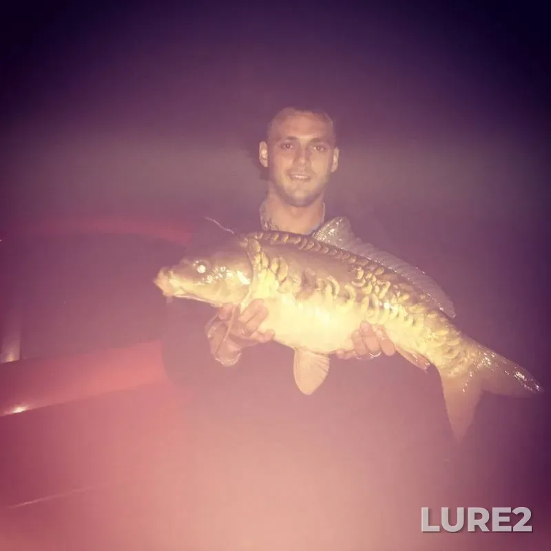 Carp — Orlovskaya oblast, Jul 14, 2019