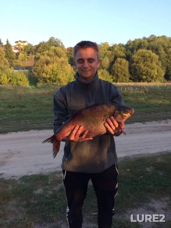 Bream — Desna, Sep 08, 2019