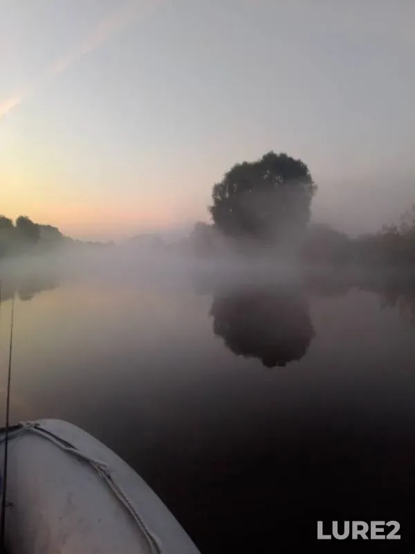 Pike — Desna, Sep 11, 2019