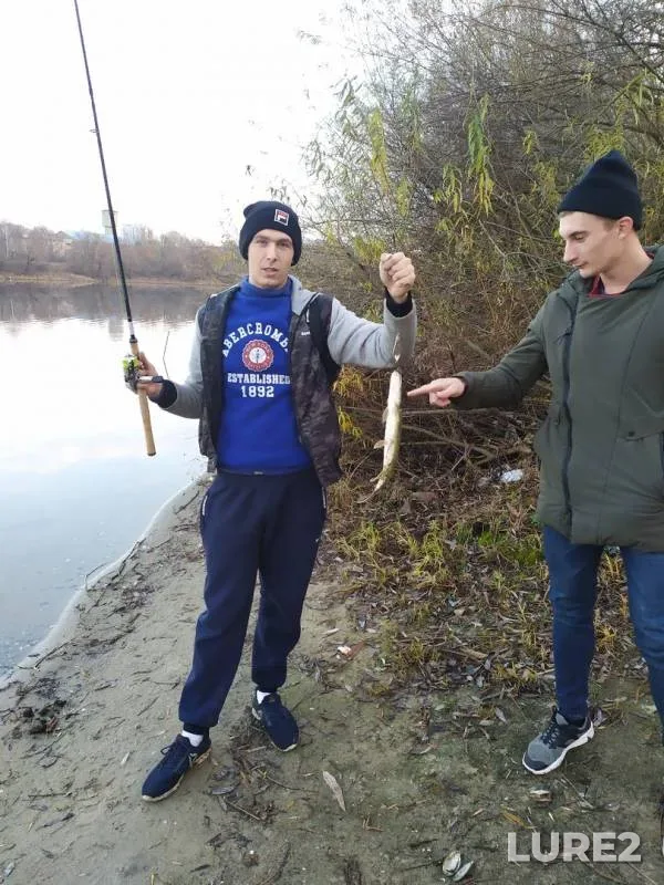 Pike — Desna, Nov 08, 2019