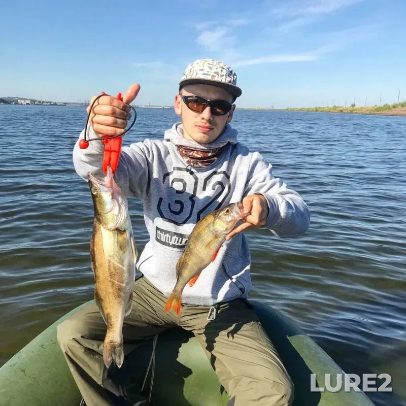 Perch, Zander — Saygatka, Aug 07, 2018