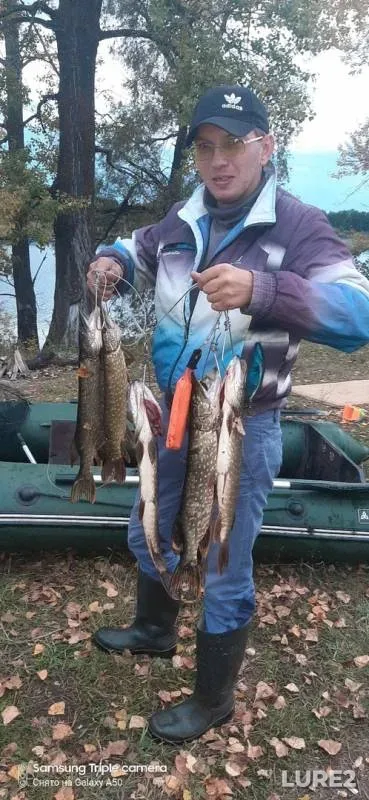 Pike — Bolshaya Yelan, Sep 22, 2019