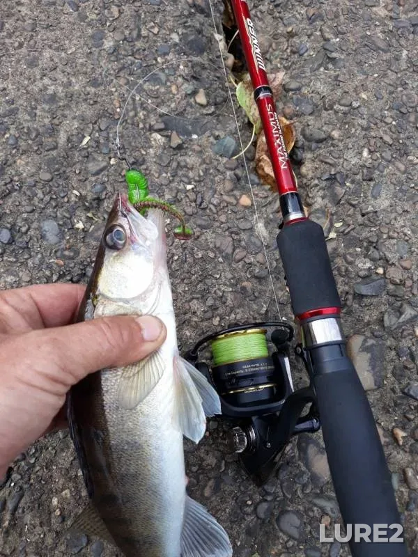 Zander — Lock Tschaikovsky, Sep 08, 2019