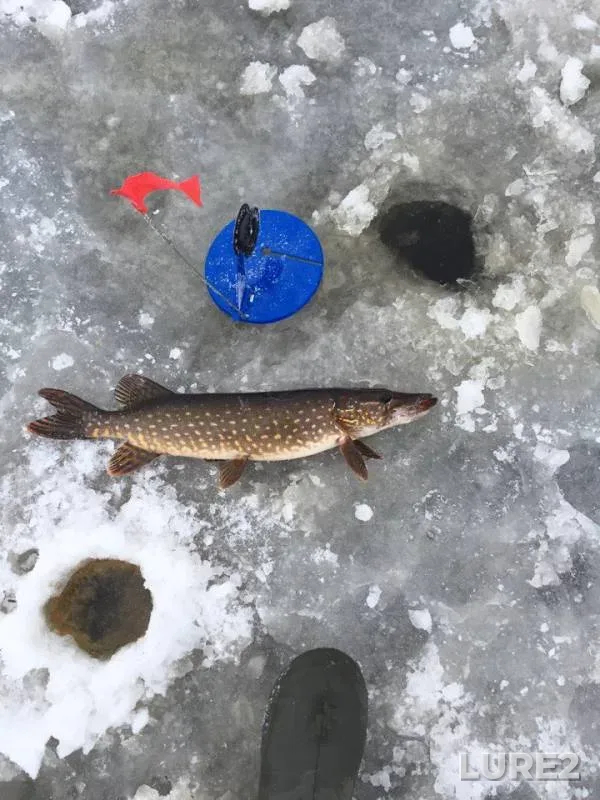 Pike — Beloye, Dec 17, 2017