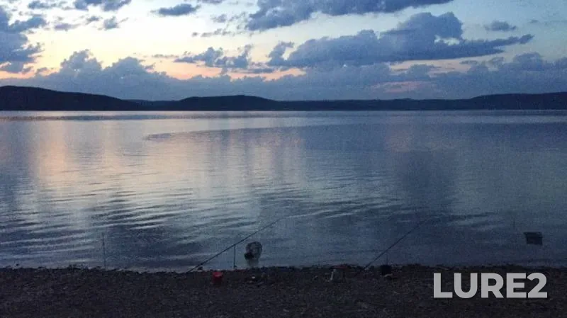 Bream — Nugushskoye, Jul 11, 2019